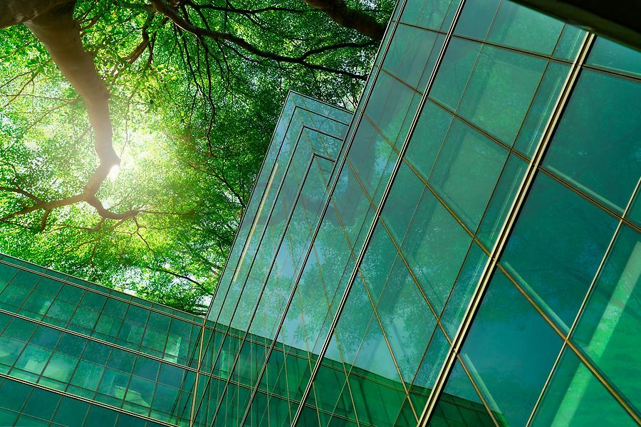 Byggnad i glas under ett grönt lövträd där solen lyser fram genom löven.